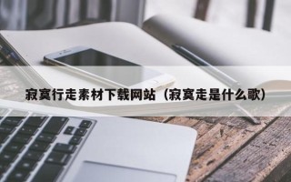 宜春寂寞行走素材下载网站（寂寞走是什么歌）
