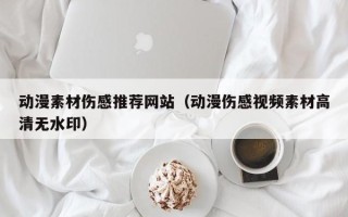 宜春动漫素材伤感推荐网站（动漫伤感视频素材高清无水印）